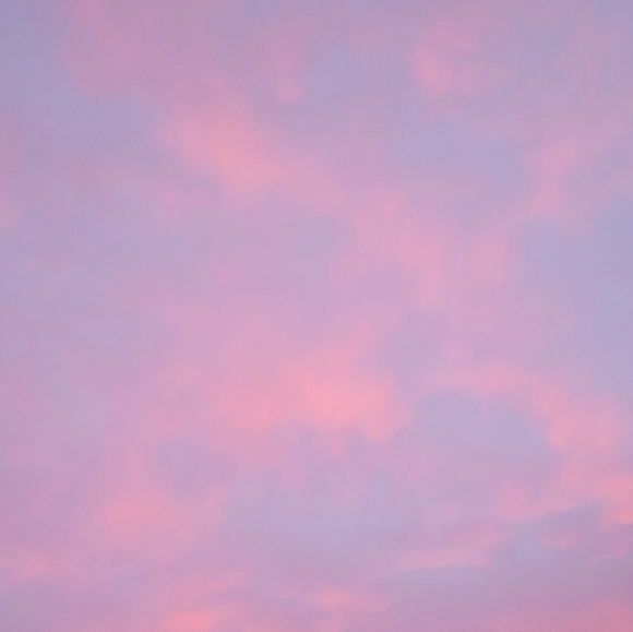 Meet your Posher, Ari - Picture 1 of 1